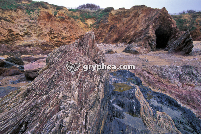 Roches métamorphiques Bretignoles - gryphea.com